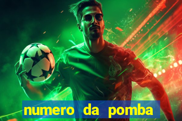 numero da pomba jogo do bicho